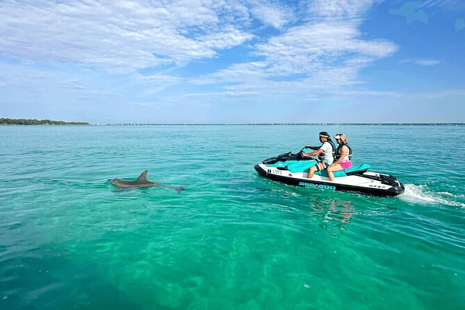 Jet ski riders watching a dolphin in the emerald waters near Destin